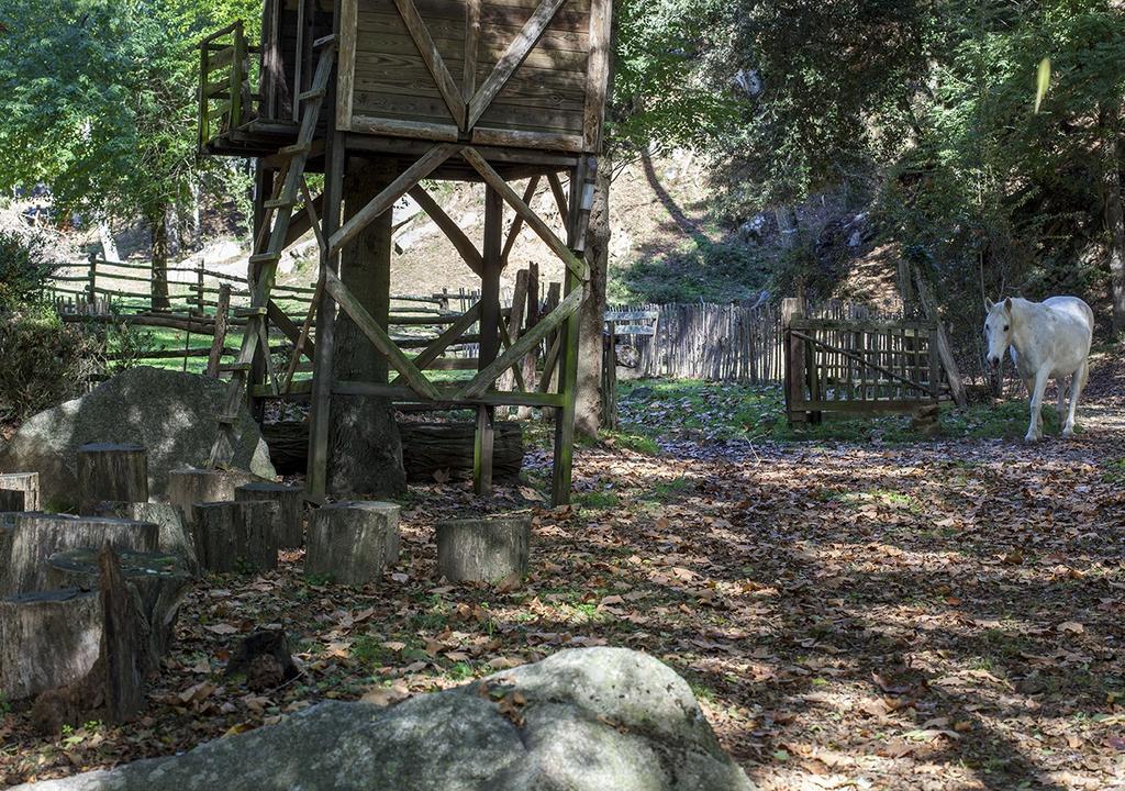 Gasthaus Masia El Moli De Can Aulet Arbúcies Exterior foto